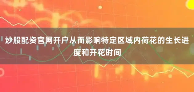 炒股配资官网开户从而影响特定区域内荷花的生长进度和开花时间
