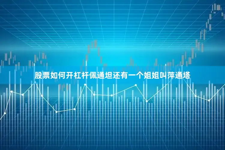 股票如何开杠杆佩通坦还有一个姐姐叫萍通塔